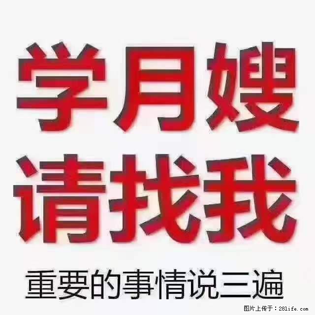 为什么要学习月嫂,育婴师? - 其他广告 - 广告专区 - 太原分类信息 - 太原28生活网 ty.28life.com