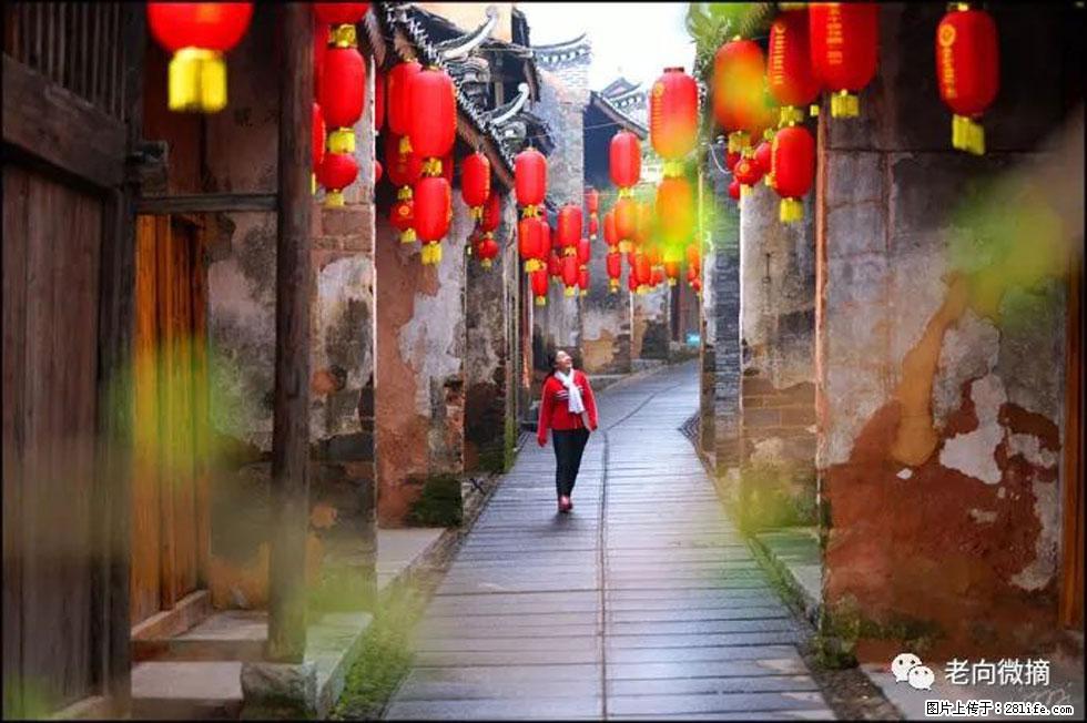 【春天，广西桂林灌阳县向您发出邀请！】江口老街又逢春 - 游山玩水 - 太原生活社区 - 太原28生活网 ty.28life.com