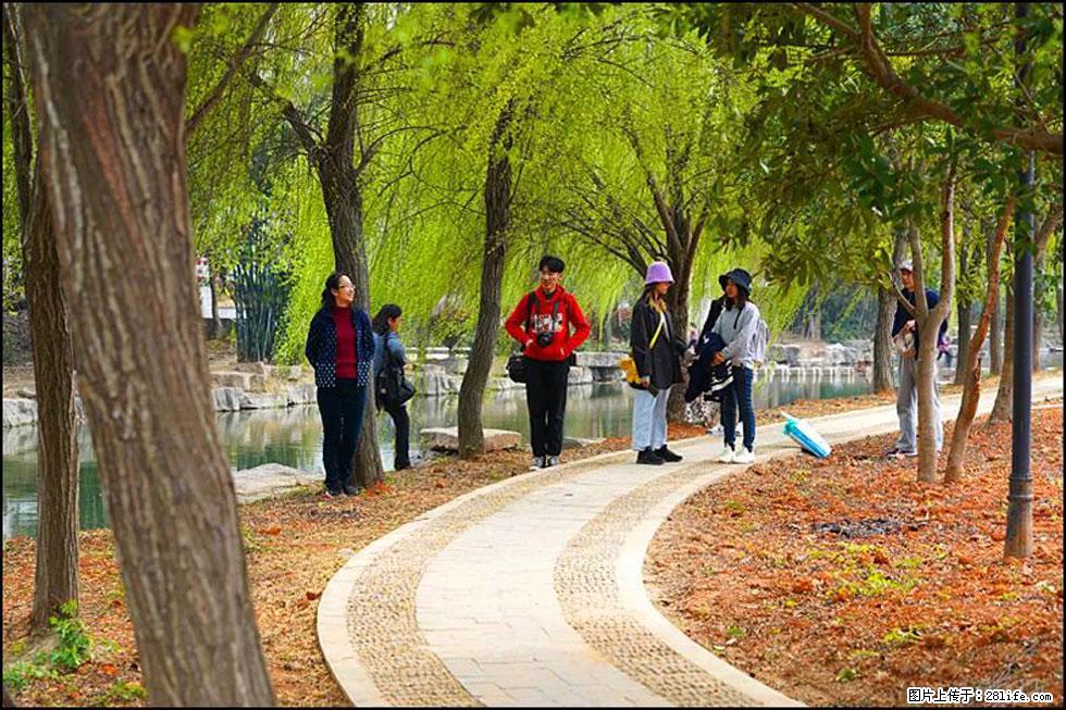 【春天，广西桂林灌阳县向您发出邀请！】江口老街又逢春 - 游山玩水 - 太原生活社区 - 太原28生活网 ty.28life.com