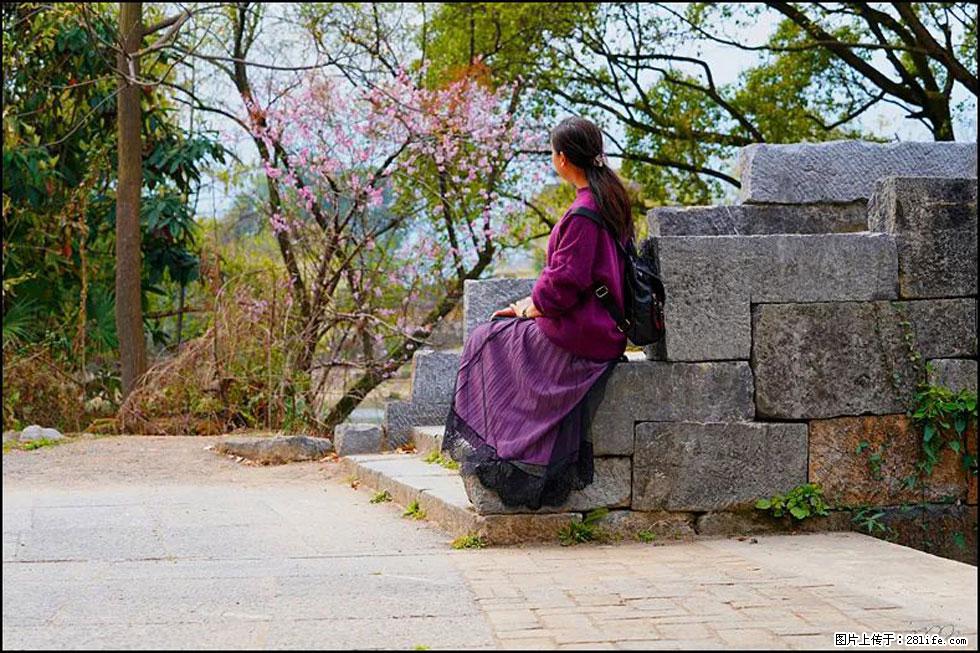 【春天，广西桂林灌阳县向您发出邀请！】江口老街又逢春 - 游山玩水 - 太原生活社区 - 太原28生活网 ty.28life.com