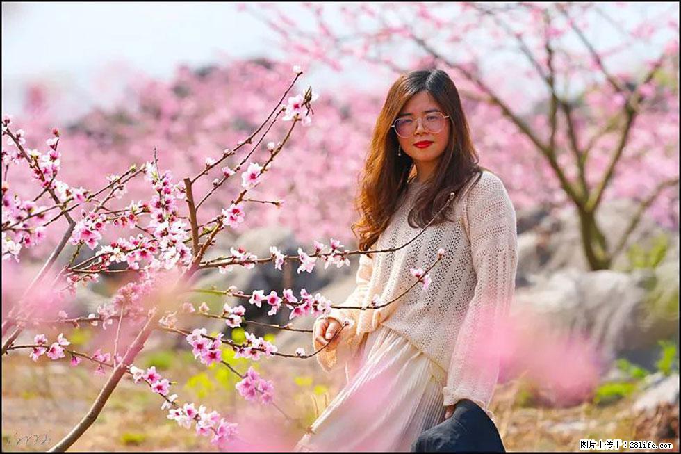 【春天，广西桂林灌阳县向您发出邀请！】望月岭上桃花开 - 游山玩水 - 太原生活社区 - 太原28生活网 ty.28life.com