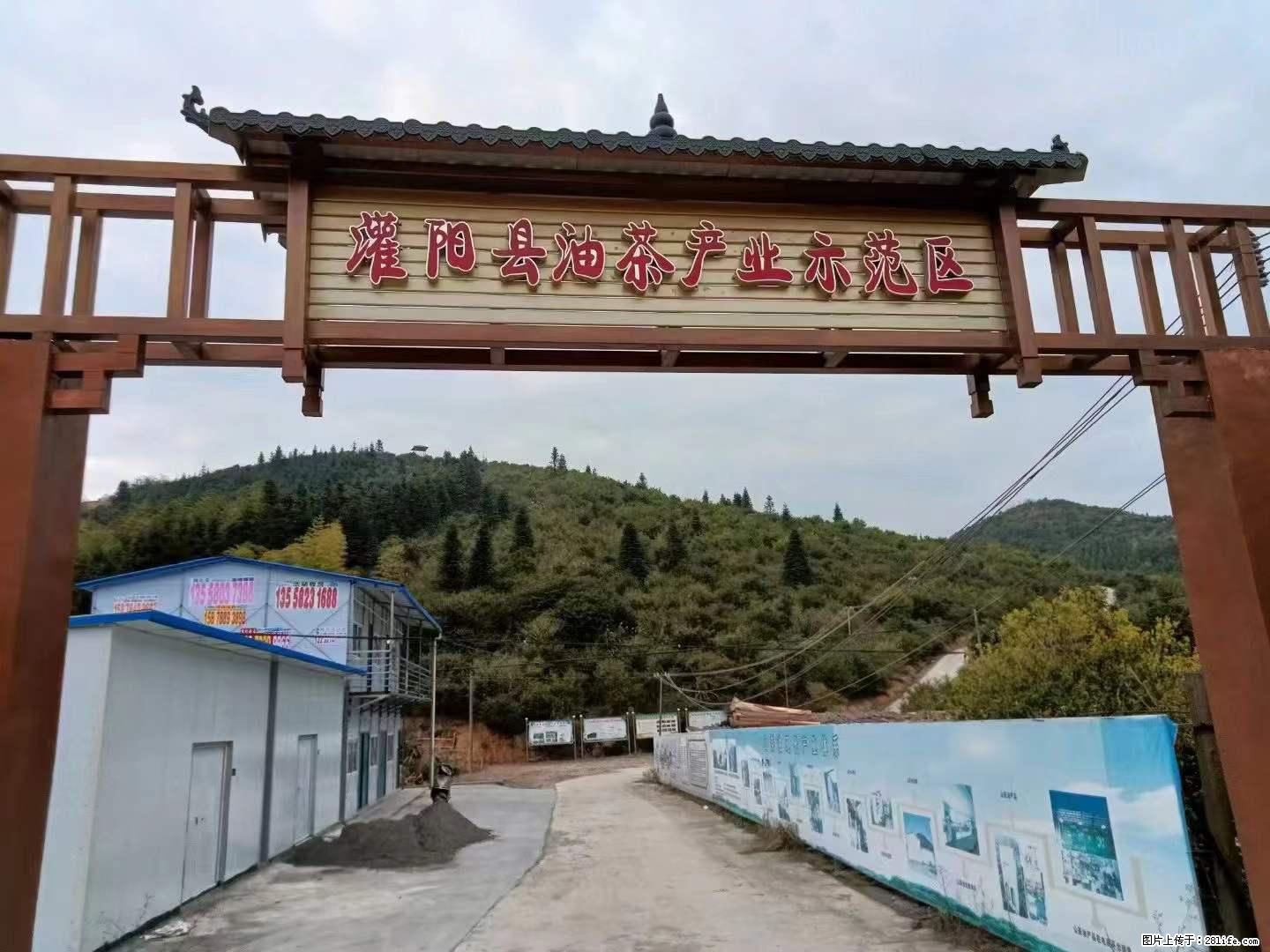 【灌阳县油茶产业示范区】一个有着充实的精神生活的人,对待身外之物自会有一种淡泊的态度 - 土特产 - 饮食特产 - 太原分类信息 - 太原28生活网 ty.28life.com