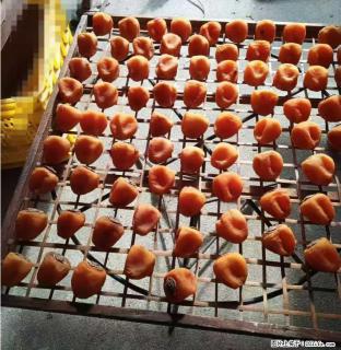 广西桂林平乐桥亭【柿饼之乡】2025年纯手工制作、无任何添加剂的第一批柿饼准备上市了，欢迎联系订购！ - 太原28生活网 ty.28life.com