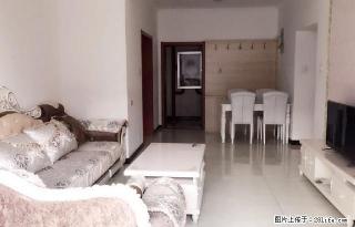 月付 鑫美天地 大三居室 千峰路与长风街交叉口 拎包入住 - 太原28生活网 ty.28life.com