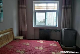 月付 精装三居 康乐街康达商城宿舍 37中 桃园南路 拎包住 - 太原28生活网 ty.28life.com