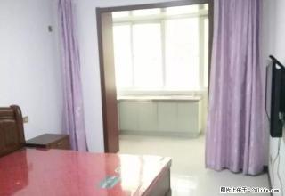 双11特价房、免暖气物业网费、南中环北张小区精装一居独立厨卫 - 太原28生活网 ty.28life.com