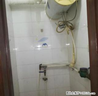 可月付精装标准的两室一厅百融居264医院三菱电梯楼层不高 - 太原28生活网 ty.28life.com