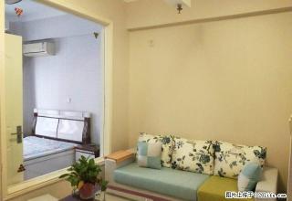 长风街体育西路 北美天美精装1居 家电齐全 随时看房半年付 - 太原28生活网 ty.28life.com