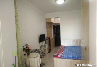 可月付 五龙口 东中环 巧克力公寓 情侣闺蜜居家好房 温馨 - 太原28生活网 ty.28life.com