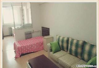 月付 东岗路与并州东西街交叉口 温馨一室一厅 省人民医院背后 - 太原28生活网 ty.28life.com