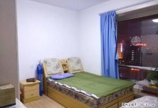 建设北路府东街口 天福邸小区 温馨一居精装 交通便利 - 太原28生活网 ty.28life.com