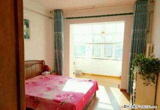 月付 下元 迎泽大街 小井峪 56中老师宿舍 精装一居 拎包 - 太原28生活网 ty.28life.com