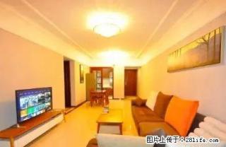 年租 半年租 月租 酒店式公寓 干净整洁 拎包入住 - 太原28生活网 ty.28life.com