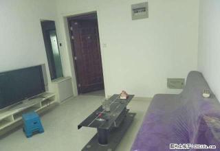 金色丽城独立1室1厅1卫1厨精准修 拎包入住1500 - 太原28生活网 ty.28life.com