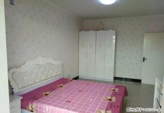 千峰北路 全家具家电 智诚天和园 后北屯 国际能源对面 拎包 - 太原28生活网 ty.28life.com