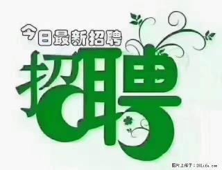 【招聘摄像师】待遇：试用期6000元/月，转正7000元/月+五险一金+餐补+节日福利+奖金 - 太原28生活网 ty.28life.com
