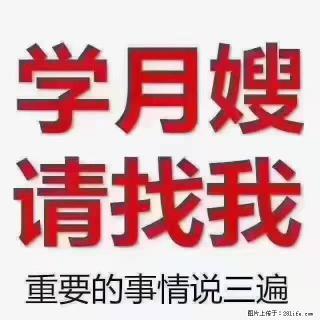 【招聘】月嫂，上海徐汇区 - 太原28生活网 ty.28life.com
