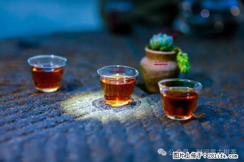 时间果百年古树2025年春红茶 - 购物交流 - 太原生活社区 - 太原28生活网 ty.28life.com