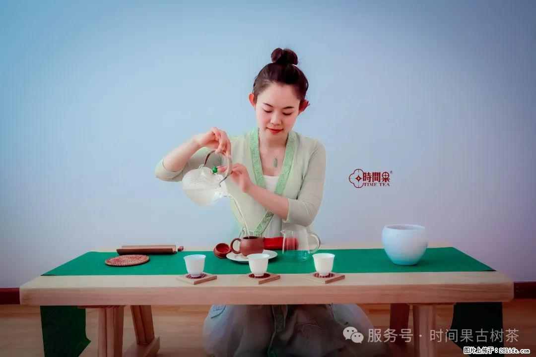 时间果百年古树龙珠普洱生茶 - 购物交流 - 太原生活社区 - 太原28生活网 ty.28life.com