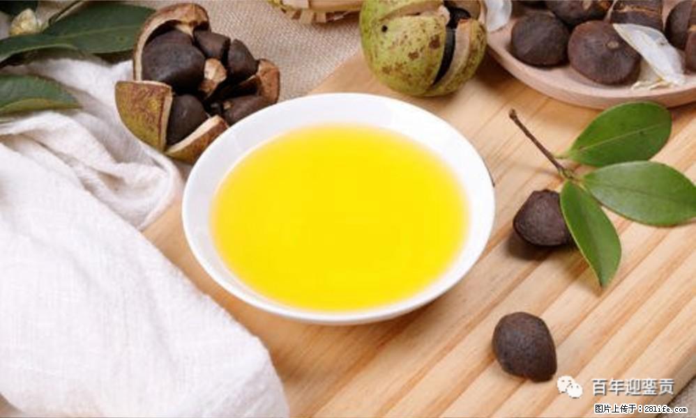 揭秘茶油的5大核心营养成分！被称为人体健康的“守护盾”！ - 太原生活资讯 - 太原28生活网 ty.28life.com