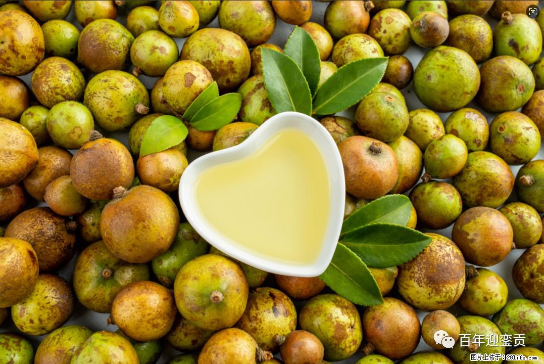 世界没有真相，只有认知，最好的食用油是中国的山茶油！ - 太原生活资讯 - 太原28生活网 ty.28life.com