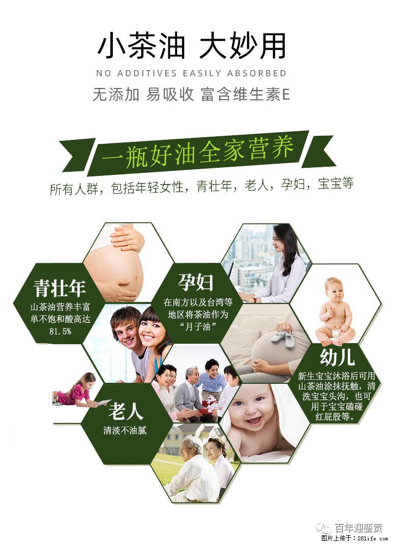 世界没有真相，只有认知，最好的食用油是中国的山茶油！ - 太原生活资讯 - 太原28生活网 ty.28life.com