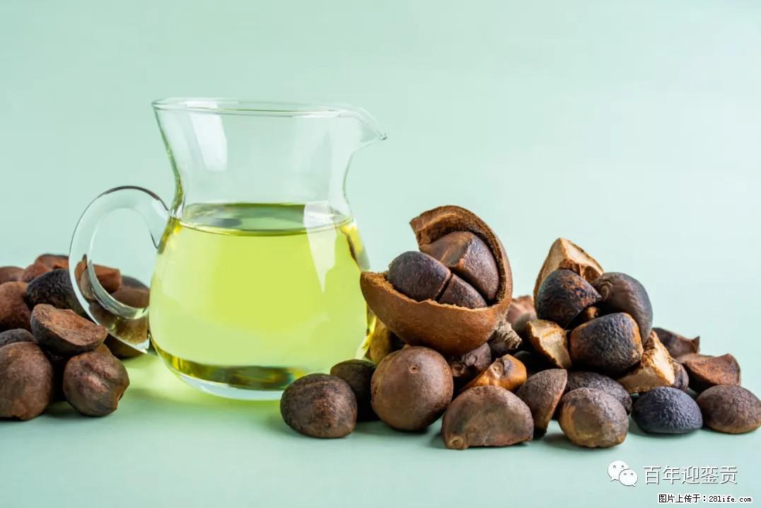 世界没有真相，只有认知，最好的食用油是中国的山茶油！ - 太原生活资讯 - 太原28生活网 ty.28life.com