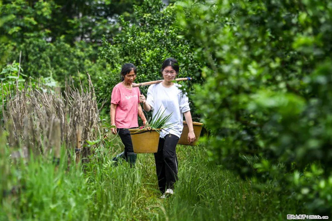 全网追的“扁担女孩”，找了一份暑假工，时薪12元 - 太原生活资讯 - 太原28生活网 ty.28life.com