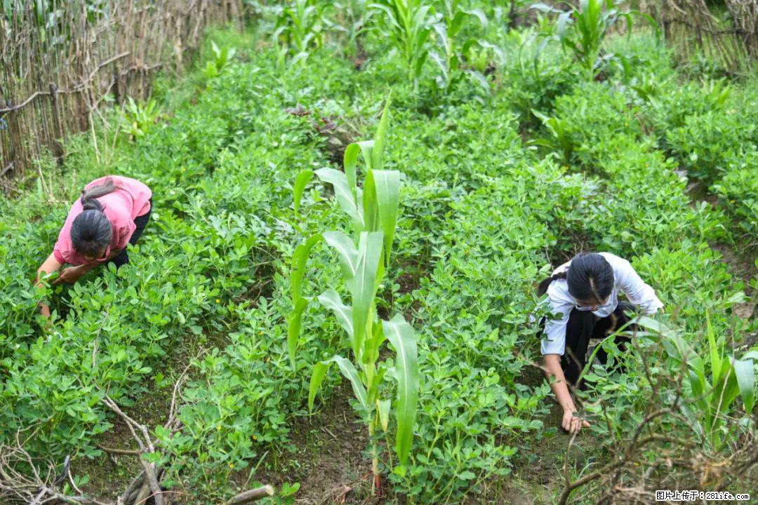 全网追的“扁担女孩”，找了一份暑假工，时薪12元 - 太原生活资讯 - 太原28生活网 ty.28life.com