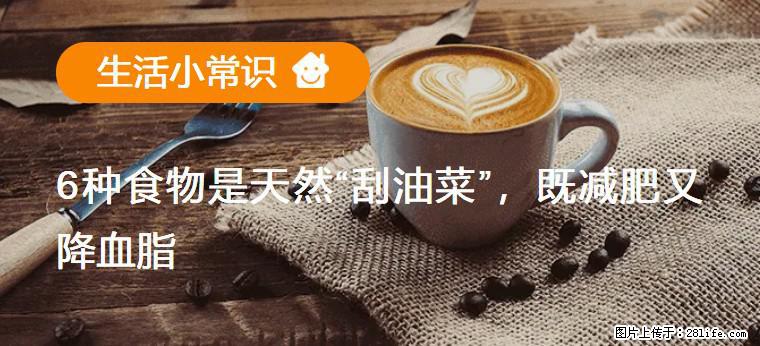 【生活小常识】6种食物是天然“刮油菜”,既减肥又降血脂 - 太原生活资讯 - 太原28生活网 ty.28life.com