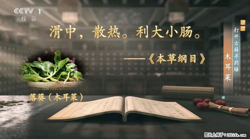 比牛奶补钙还厉害！凉血解毒、稳血糖...这菜冬天必吃，很多人却当草 - 太原生活资讯 - 太原28生活网 ty.28life.com