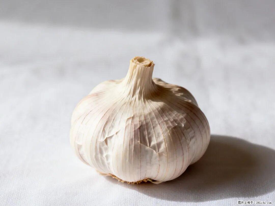 关于大蒜，除了“天然抗生素”，这4个谣言更该警惕! - 太原生活资讯 - 太原28生活网 ty.28life.com