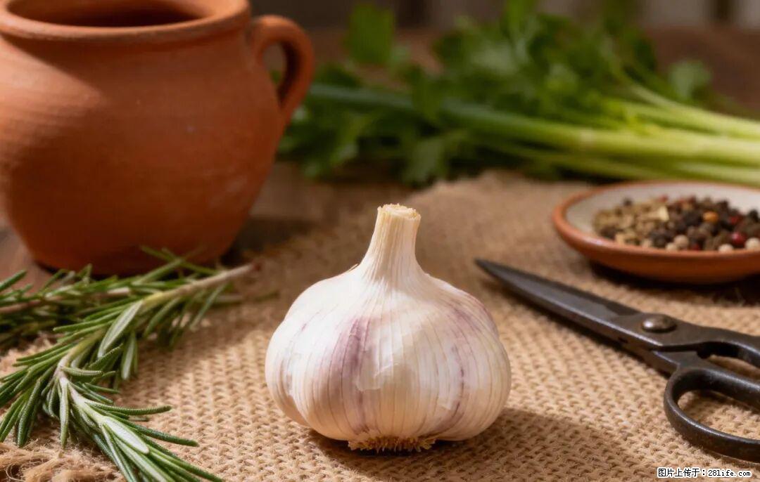 关于大蒜，除了“天然抗生素”，这4个谣言更该警惕! - 太原生活资讯 - 太原28生活网 ty.28life.com